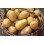 Pentland Javelin Seed Potatoes (First Early - 1kg)